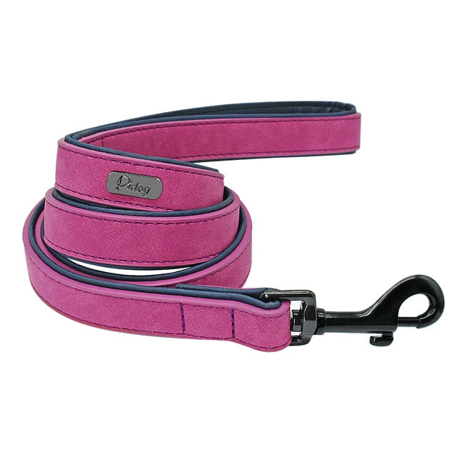 Personalized Pet Dog Tag Collar Leash