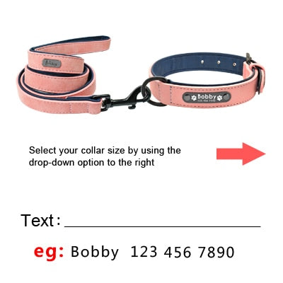 Personalized Pet Dog Tag Collar Leash