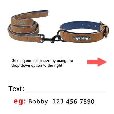 Personalized Pet Dog Tag Collar Leash