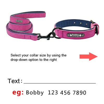 Personalized Pet Dog Tag Collar Leash