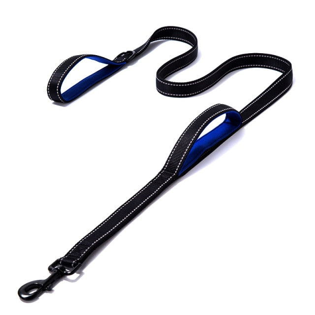 Outdoor Travel Dog Training Chain