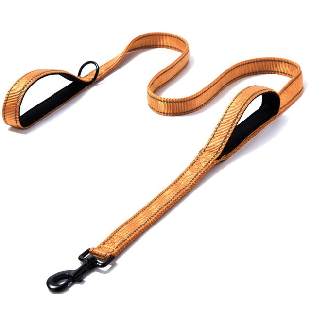 Outdoor Travel Dog Training Chain