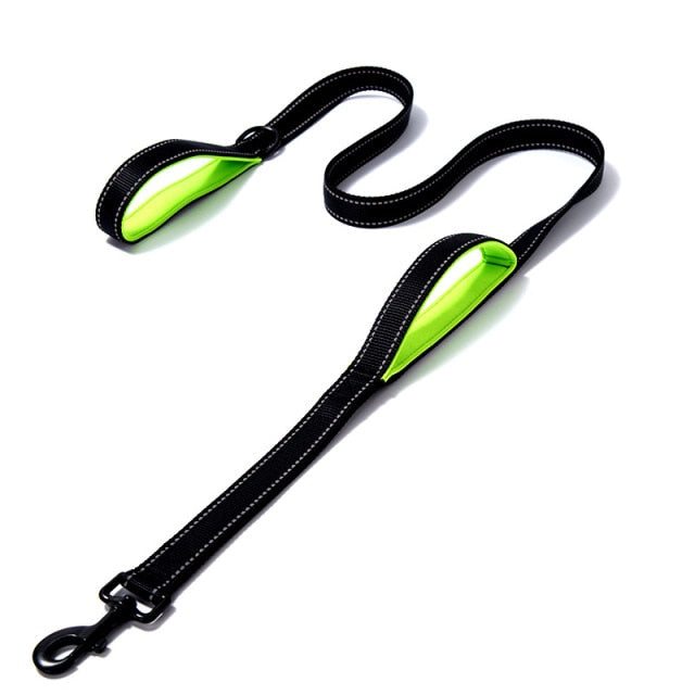 Outdoor Travel Dog Training Chain