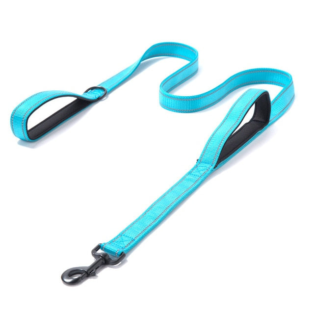 Outdoor Travel Dog Training Chain