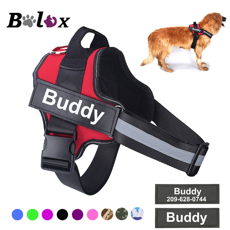 Personalized Dog Harness