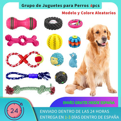 Petaccom group of dog toys